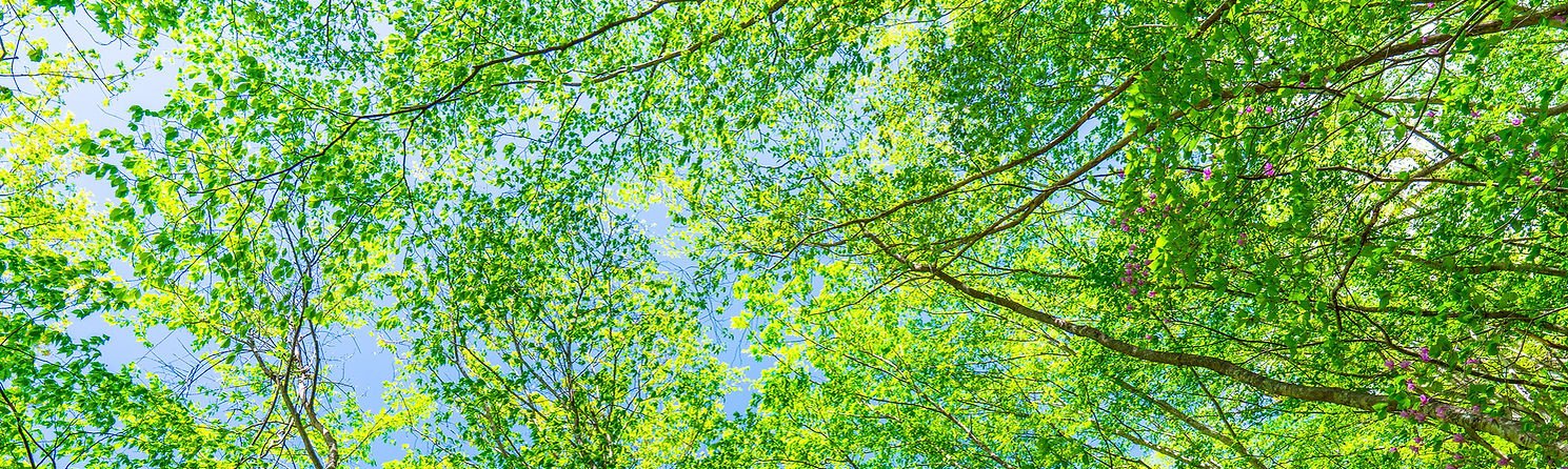 内科を中心に在宅医療・リハビリまで対応｜ハラダクリニック