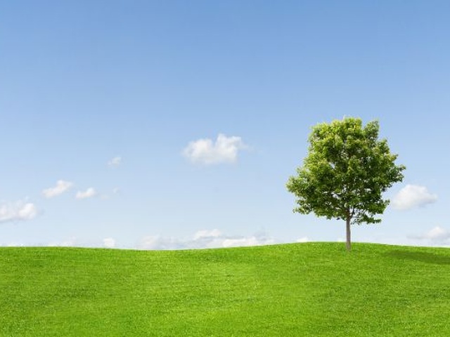 足立区西伊興のハラダクリニックからのお知らせの画像